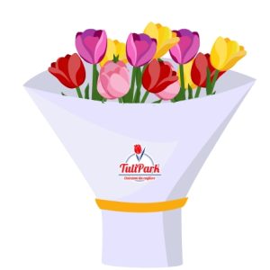 Promo 5 tulipani
