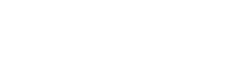 TuliPark® – Vendita bulbi di tulipano online