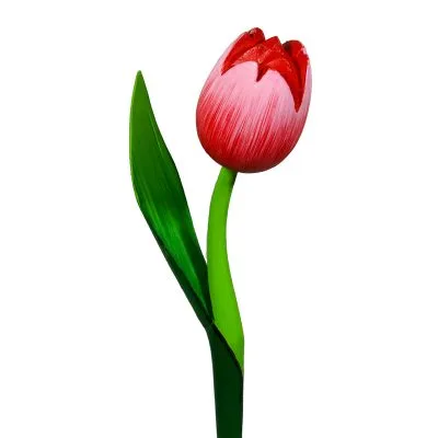Tulipano di legno Rosso