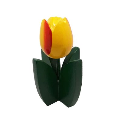 Piantina tulipano giallo