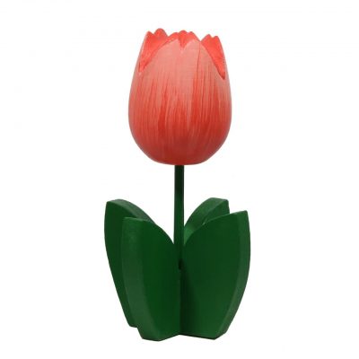 Piantina tulipano rosso