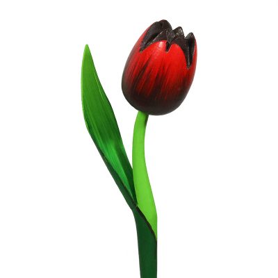 Tulipano di legno rosso nero
