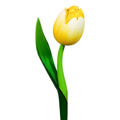 Tulipano di legno giallo