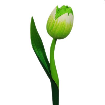 Tulipano di legno verde