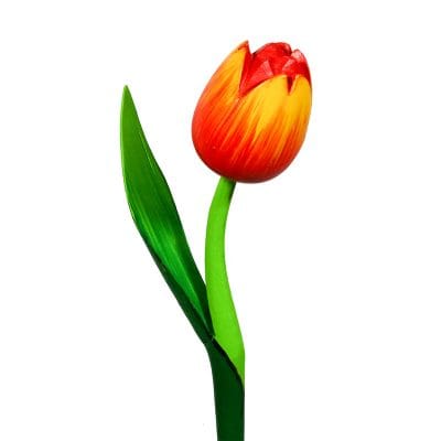 Tulipano di legno giallo rosso