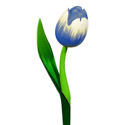 Tulipano di legno blu