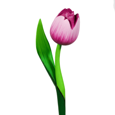 Tulipano di legno rosa bianco