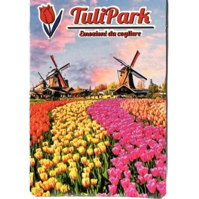 Calamita da frigo TuliPark con tulipani e mulini