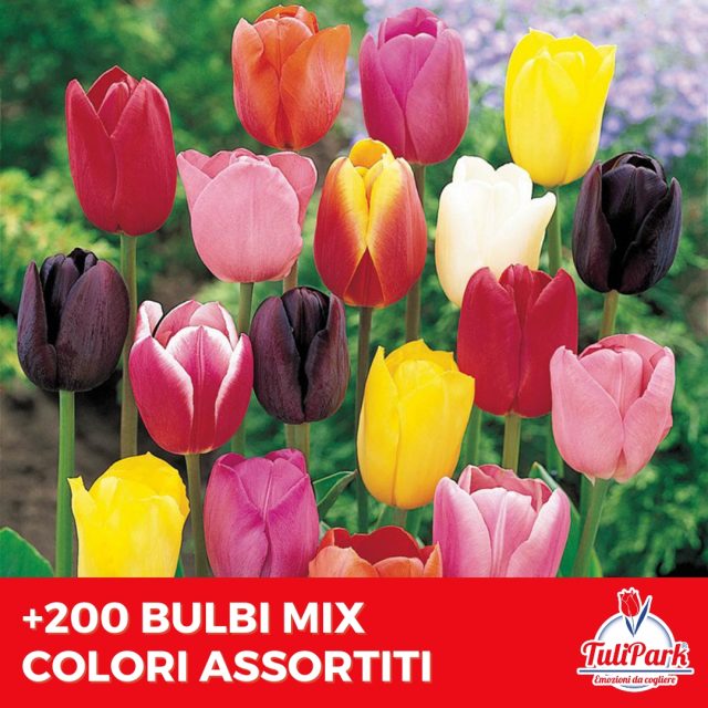 200 bulbi sfusi mix colori