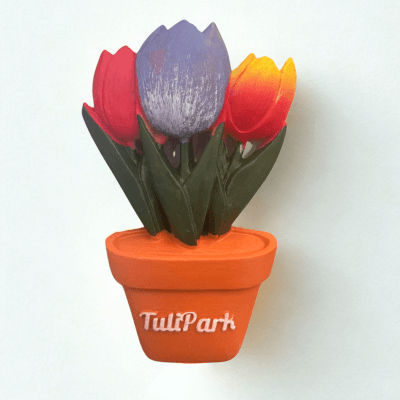 Calamita vaso con 3 tulipani