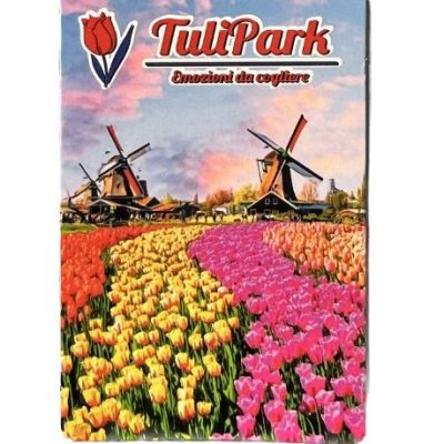 Calamita da frigo TuliPark con tulipani e mulini