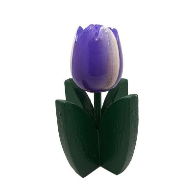 Piantina tulipano viola