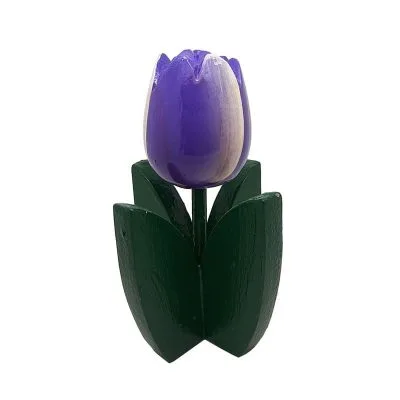 Piantina tulipano viola