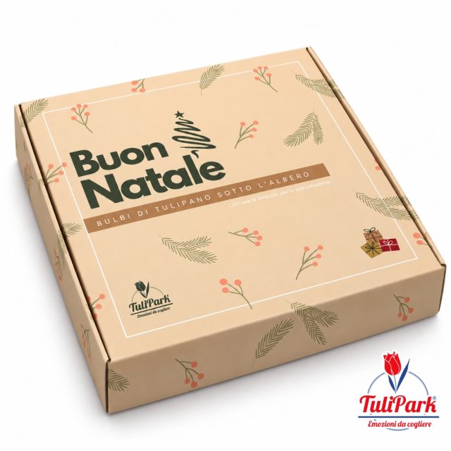 Box Natalizia TuliPark con 40 bulbi di tulipano mix colori