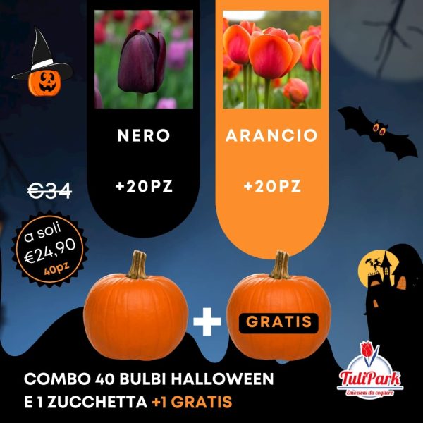 Halloween bulbi e zucche