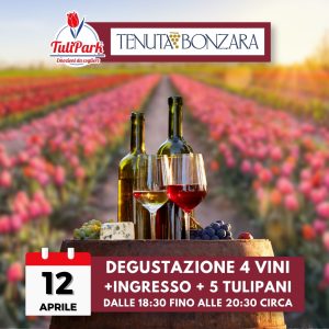 Degustazione Vino, Ingresso +5 tulipani e live music - 12/04 (18:30-20:30)