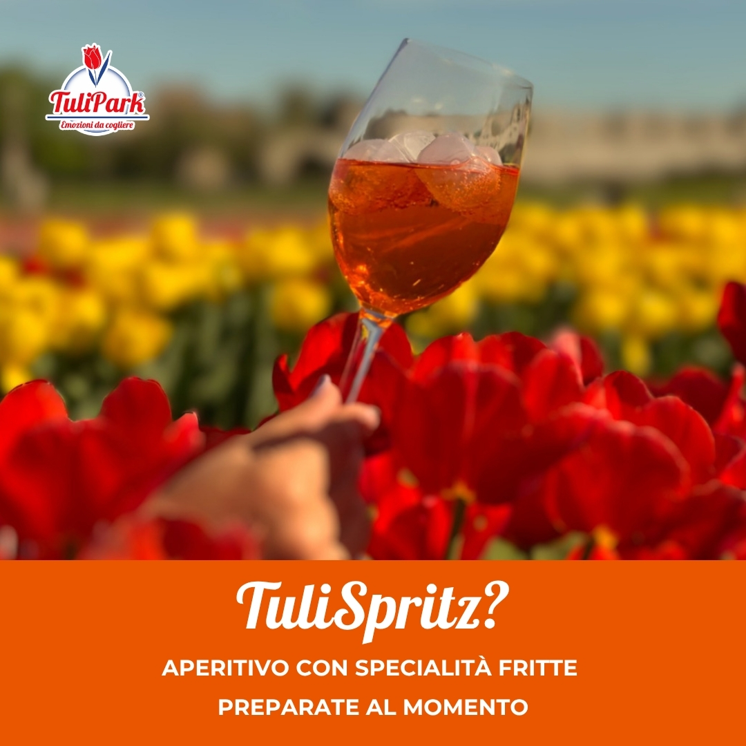 TuliSpritz Rome
