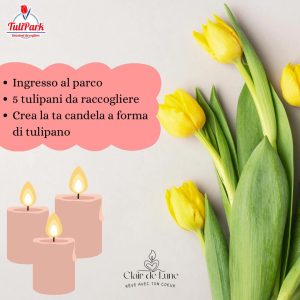 WorkShop Candele + 5 tulipani 4 aprile ore 11:00-13:00