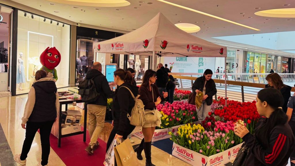 TuliParkDay Centro Commerciale Roma-Est