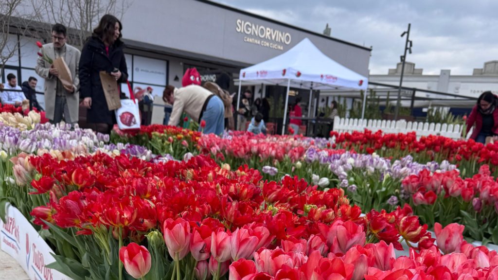 TuliParkDay Valmontone Outlet