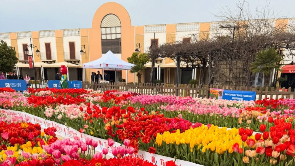 TuliParkDay Cilento Outlet