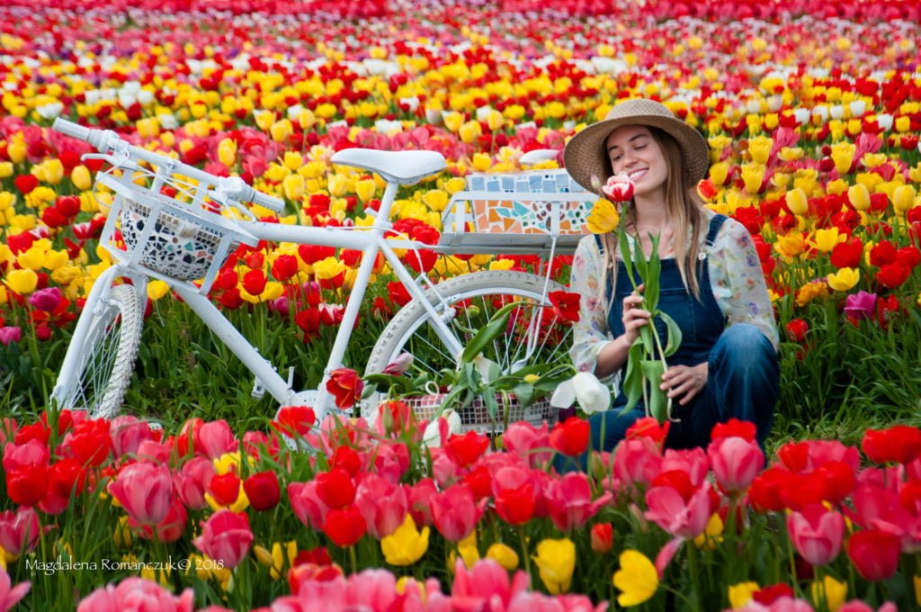 TuliPark Scopri il piacere di vivere l’Olanda a Roma