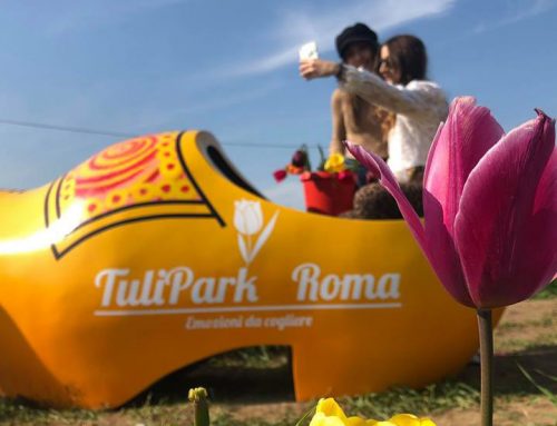 Ultimi giorni per fare selfie a TuliPark