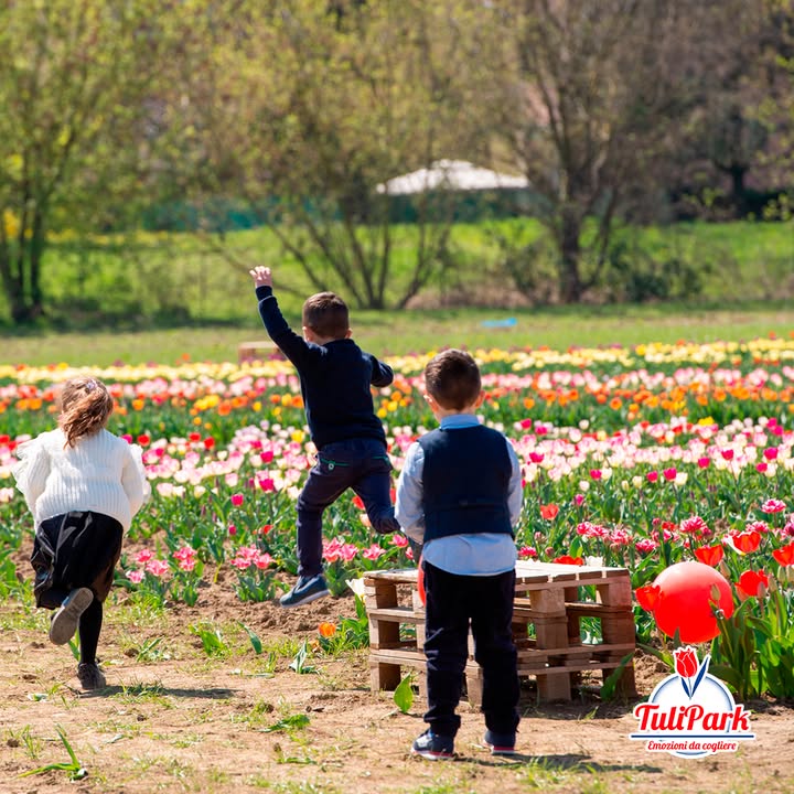 TuliPark - Bologna