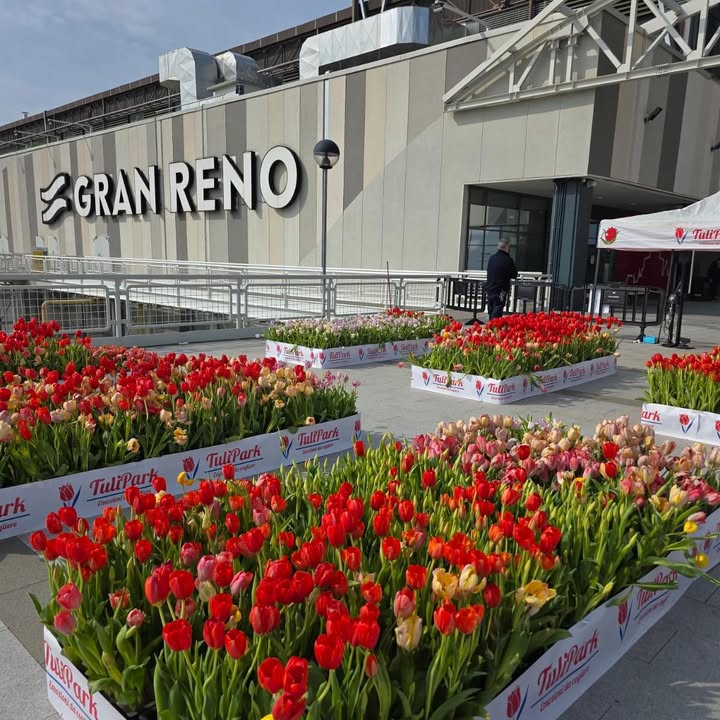 TuliPark - Bologna