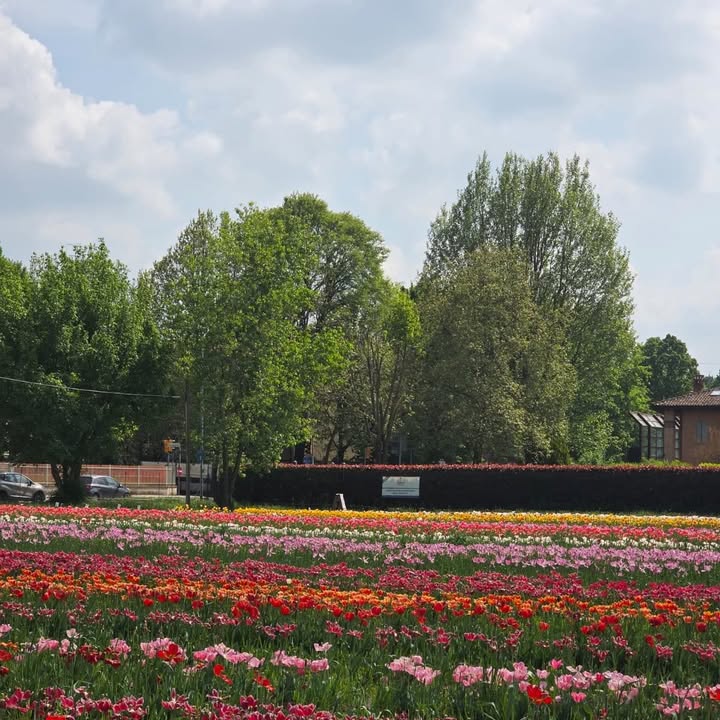 TuliPark - Bologna