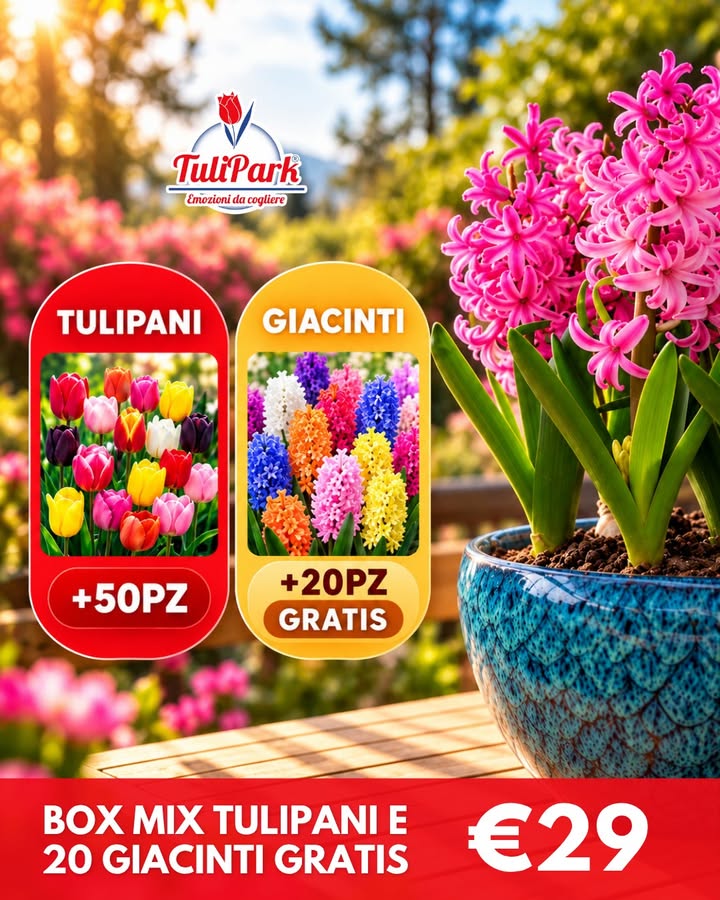 TuliPark - Bologna