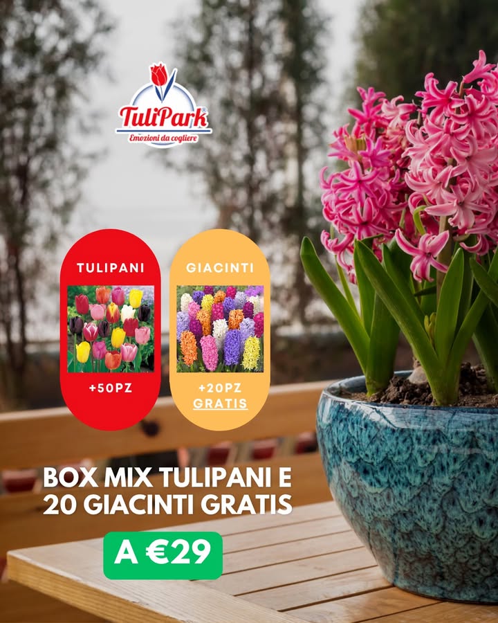 TuliPark - Roma