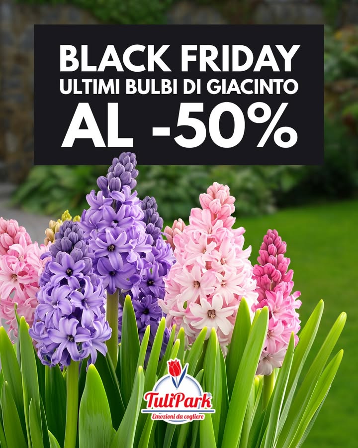 TuliPark - Roma