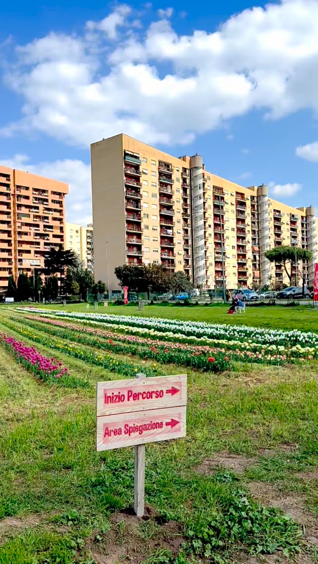 TuliPark - Roma