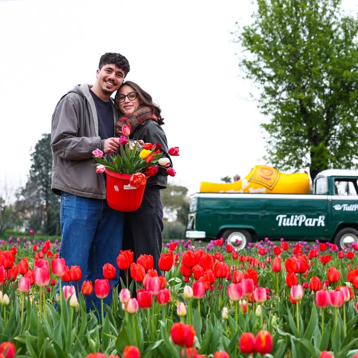 TuliPark - Roma
