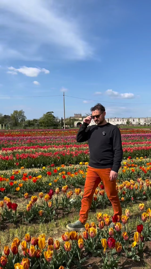 TuliPark - Roma