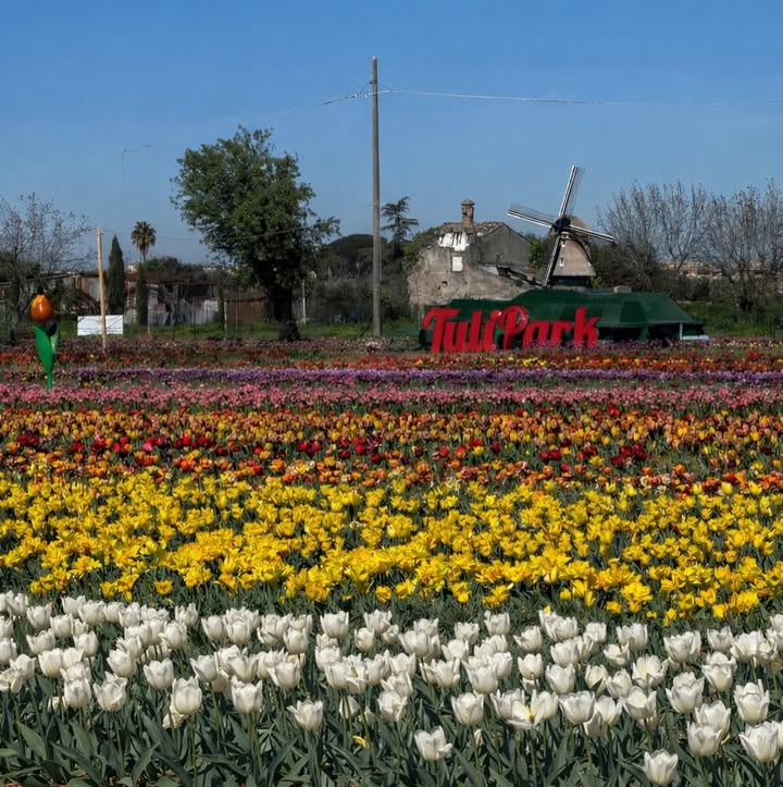 TuliPark - Roma