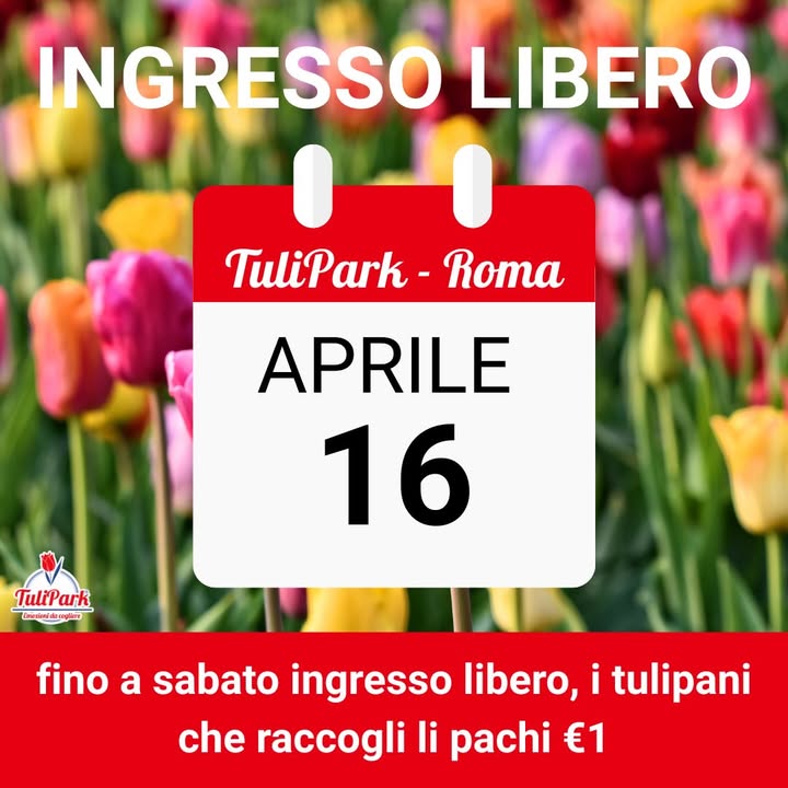 TuliPark - Roma