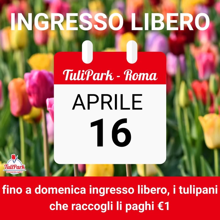TuliPark - Roma