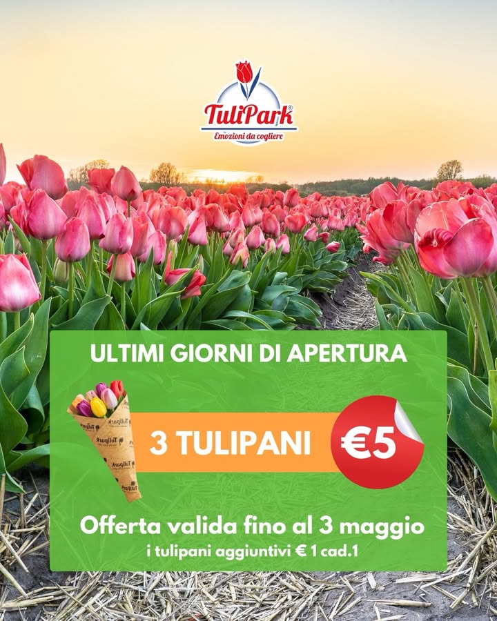 TuliPark - Bari
