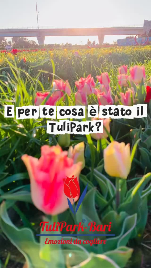TuliPark - Bari