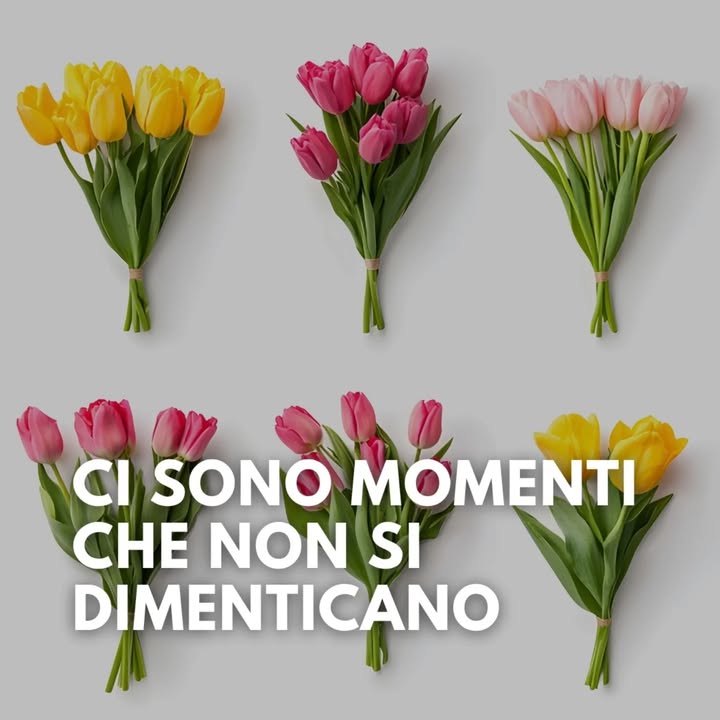 TuliPark - Caltagirone