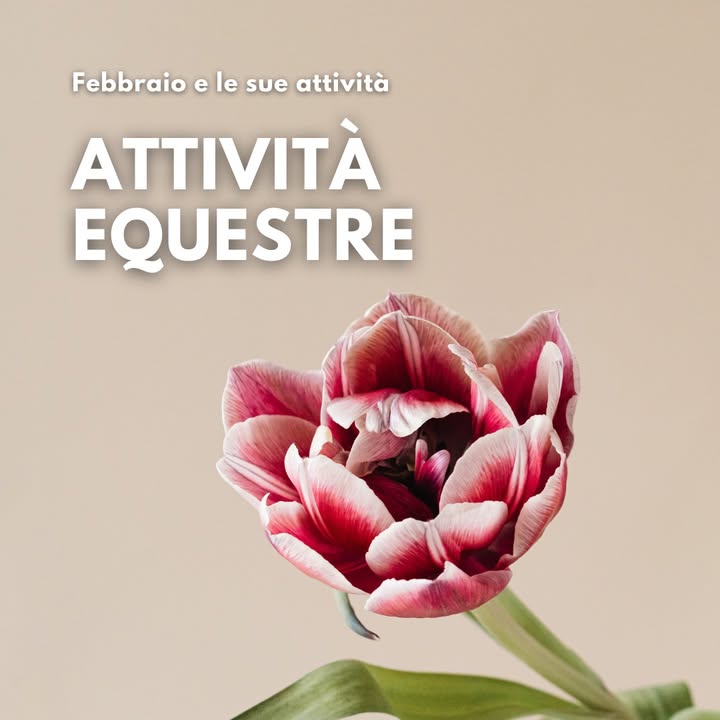 TuliPark - Caltagirone