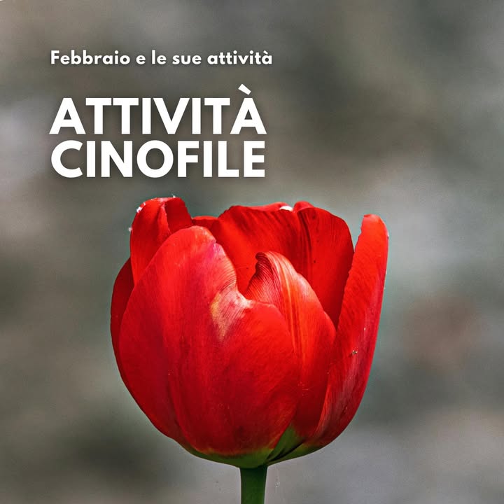 TuliPark - Caltagirone