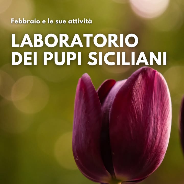 TuliPark - Caltagirone