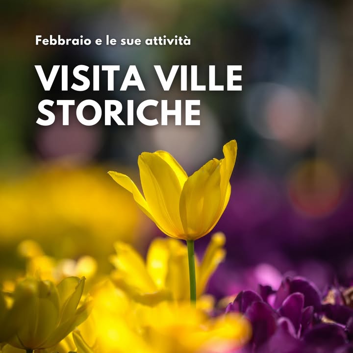 TuliPark - Caltagirone