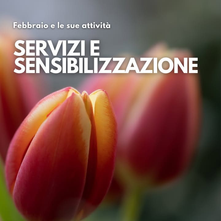 TuliPark - Caltagirone