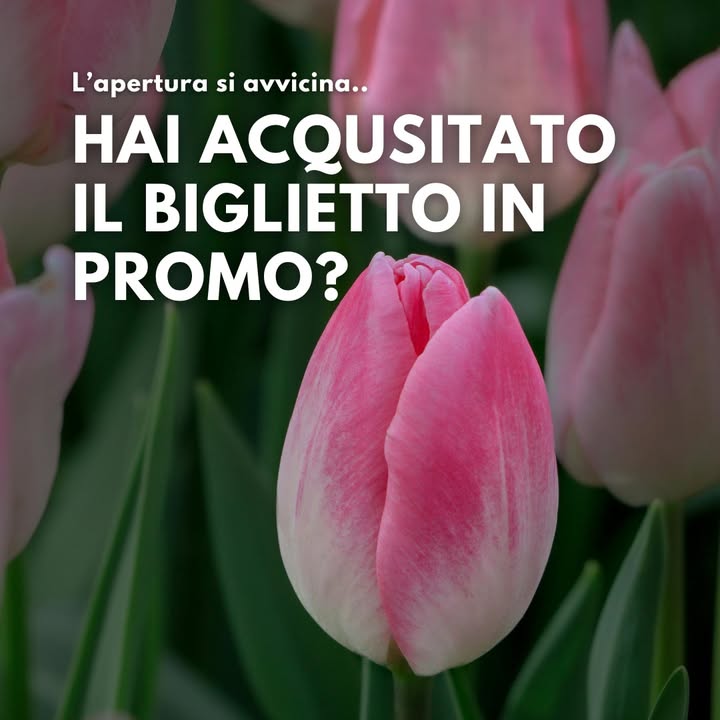 TuliPark - Caltagirone