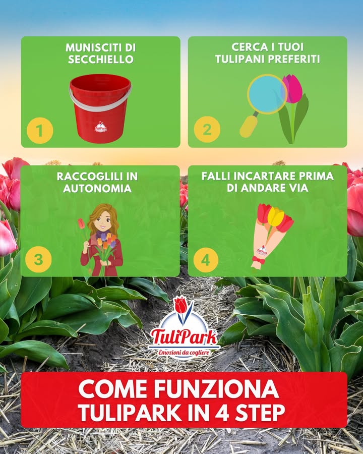 TuliPark - Caltagirone