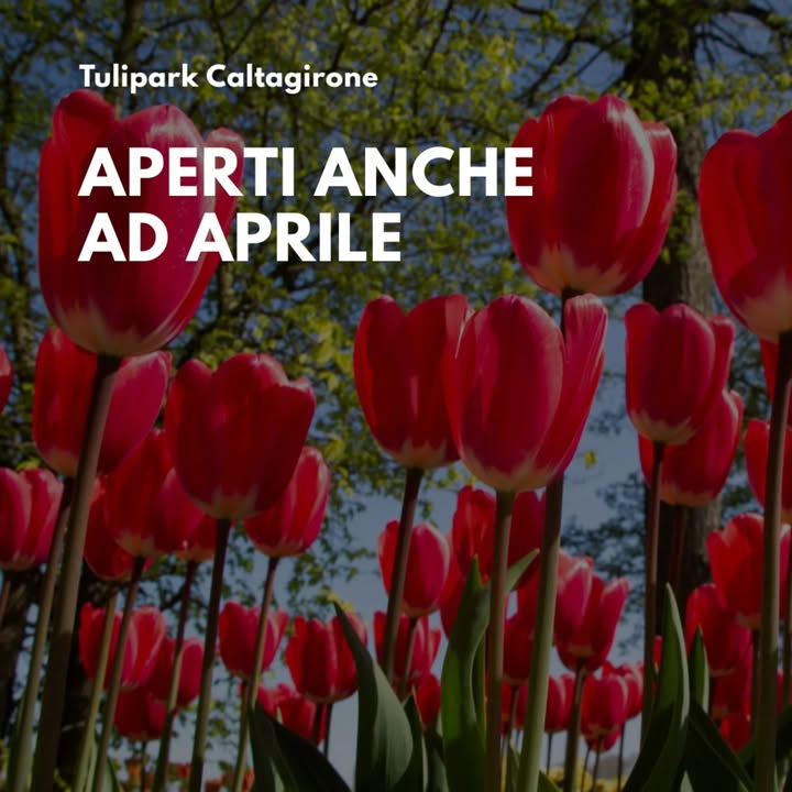 TuliPark - Caltagirone